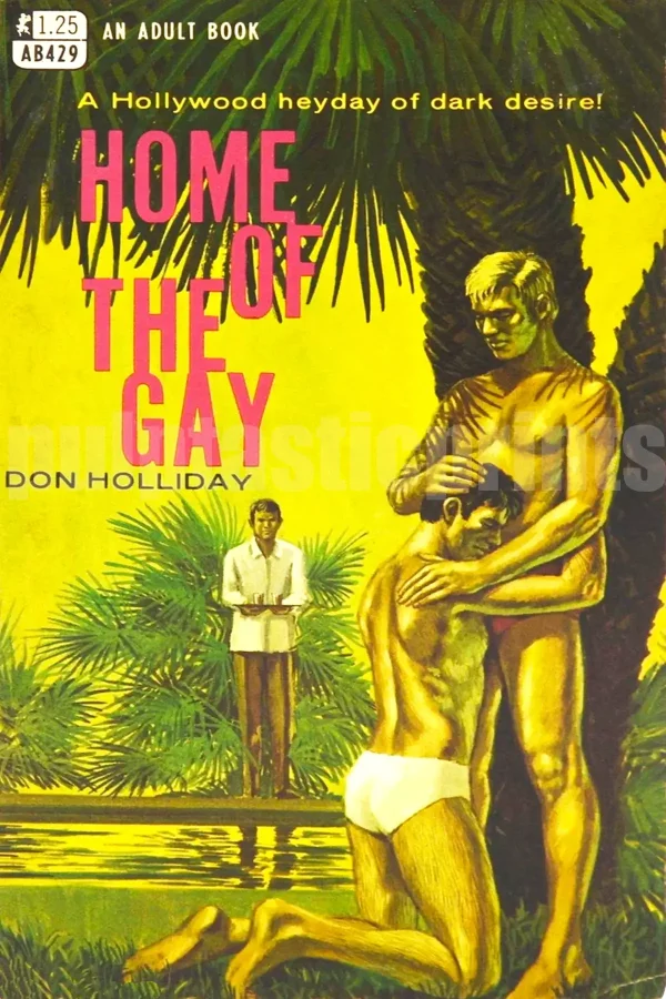 Home of the Gay — prime gay pulp sleaze from 1968 by the pseudonymous Don Holliday