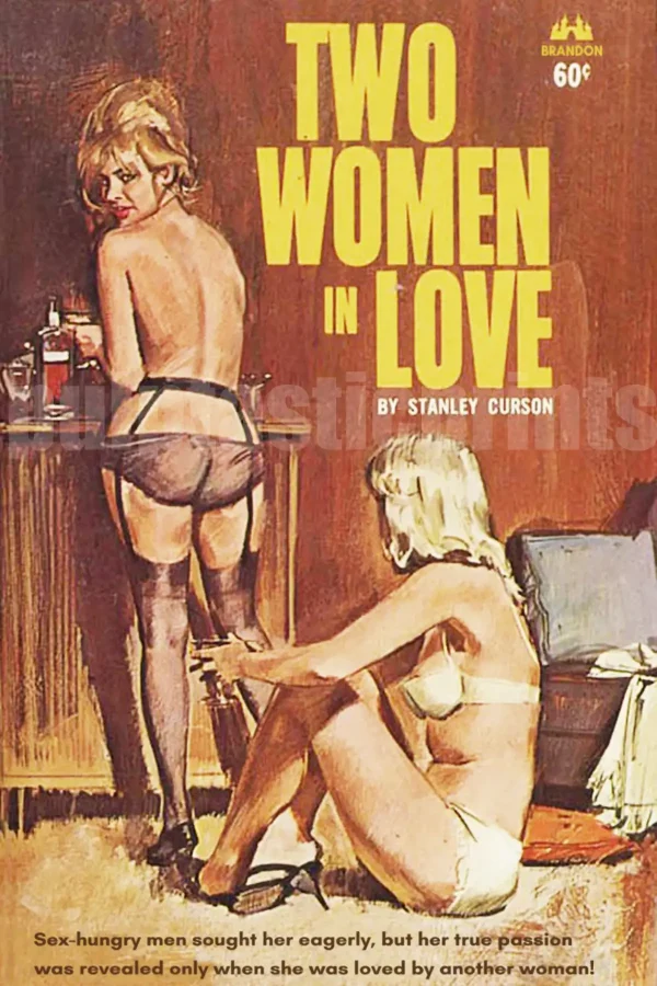 Repro of 60s lesbian pulp novel Two Women in Love — featuring the two women who are (apparently!) in love, cocktails in hand, wearing panties and garter belt.