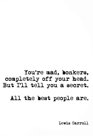 You're Mad, Bonkers