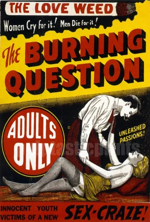 The Burning Question - The Love Weed