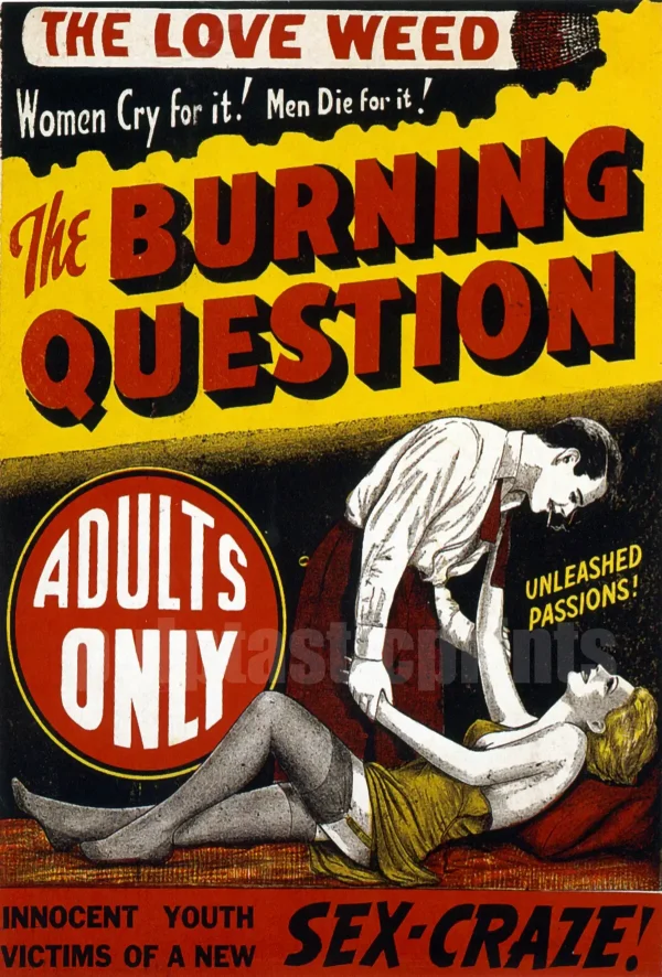 The Burning Question - The Love Weed