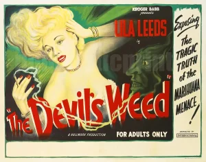 The Devil's Weed