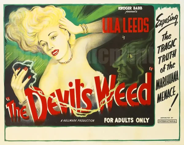 The Devil's Weed
