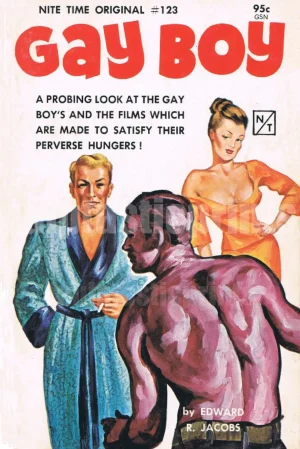 It's Gay Boy— a truly trashy pulp novel that tells us it's "a probing look at the gay boys and the films that are made to satisfy their perverse hungers!"