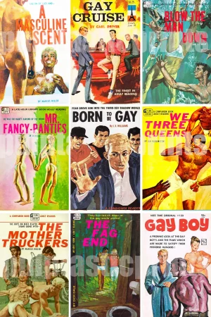ONE poster showing a selection of 9 of the most evocative (to put it politely!) gay pulp paperback covers!