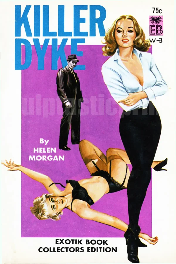 This cover from 1964 lesbian pulp novel Killer Dyke is a killer indeed!