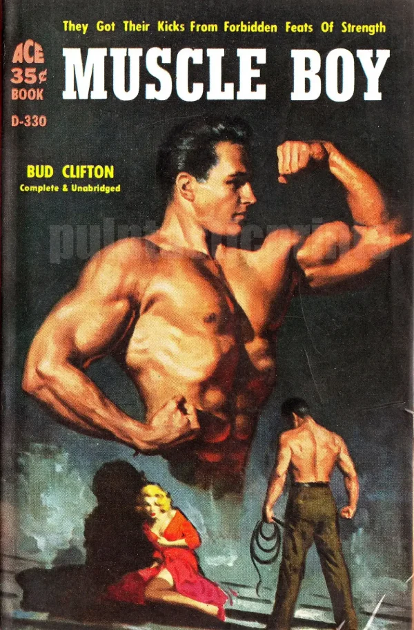 Prime example of an ultra-campy gay pulp paperback — Muscle Boy