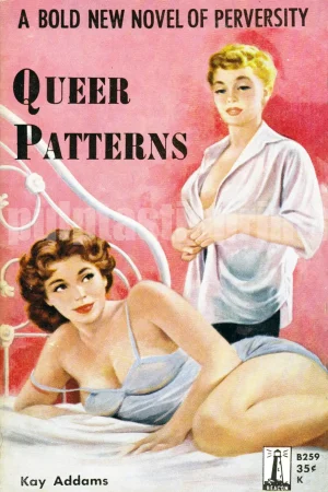 Queer Patterns — "a bold new novel of perversity" ... as the cover tells us.